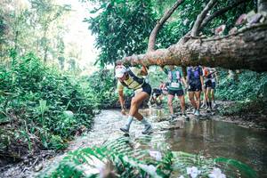 BIB: 
                            <button type="button" onclick="openModal(25445475)" class="btn btn-primary btn-sm float-right btn-popup" data-toggle="modal" data-target=".modal-high-quality">
                        <i class="fas fa-shopping-cart"></i> Add to Cart
                    </button>
                                            <button type="button" onclick="isThisMe(25445475, true)" class="btn btn-success btn-sm float-right btn-popup btn-isme hidden" data-toggle="tooltip" data-placement="bottom" title="นี่คือรูปของคุณใช่ไหม คลิกที่นี่เพื่อเอาเข้าอัลบั้ม">
                        <i class="fas fa-plus"></i> Add to album
                    </button>
                    <button type="button" onclick="isThisMe(25445475, false)" class="btn btn-warning btn-sm float-right btn-popup btn-isnotme hidden">
                        <i class="fas fa-ban"></i> Remove from album
                    </button>